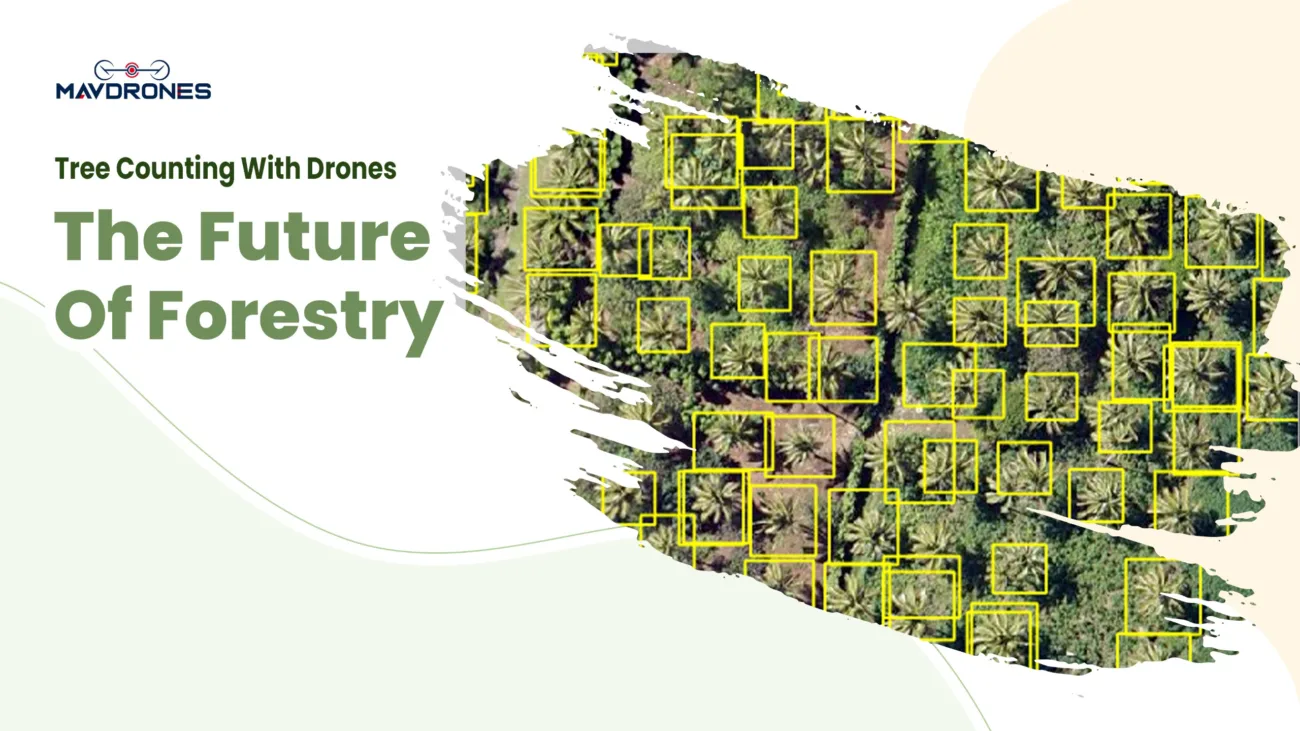 tree counting with drones , drone for surveying , survey drones