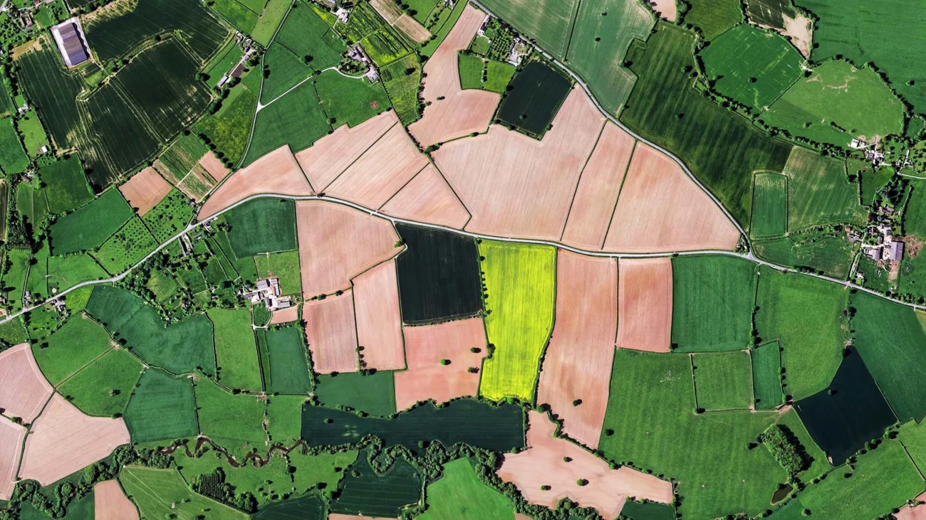 Survey Drones: The Surveying Industry With Precision And Speed 2 survey drone